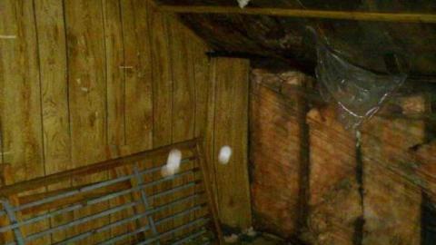 Rob Road house  - PICT0088.jpg