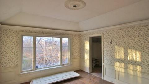 decayed and salvaged - IMG_6792.jpg