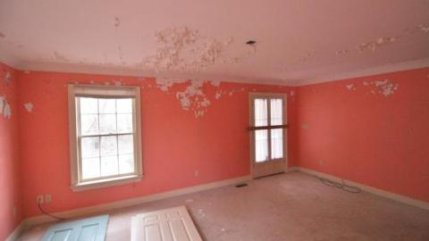 decayed and salvaged - IMG_6778.jpg