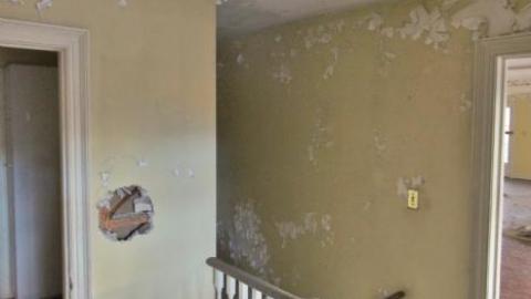 Photo from decayed and salvaged