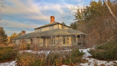 decayed and salvaged - IMG_6798.jpg