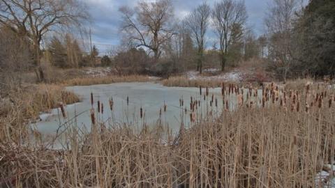 decayed and salvaged - IMG_6817.jpg