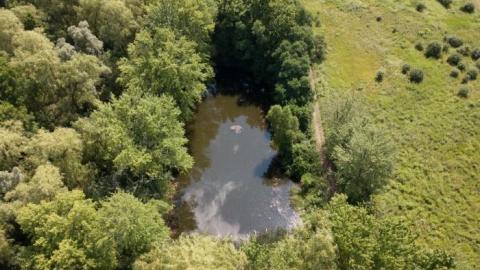 Photo from What is Left