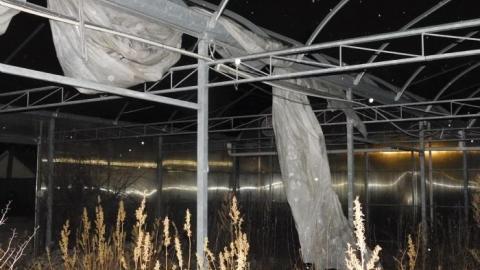 Photo from ftd graveyard