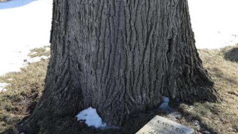 February 2020 - 0I6A0184.jpg