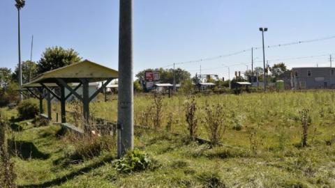 Summer 2018 - wx6.jpg