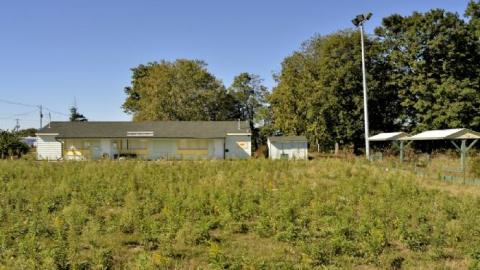 Photo from Summer 2018