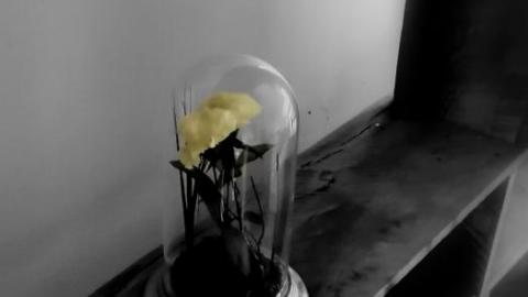 Abandoned farmhouse - IMG_20200314_210552.jpg