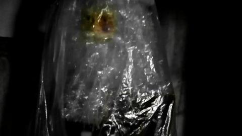 Abandoned farmhouse - IMG_20200314_205638.jpg