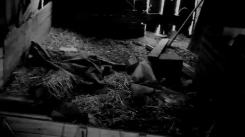 Abandoned farmhouse - IMG_20200314_204117.jpg