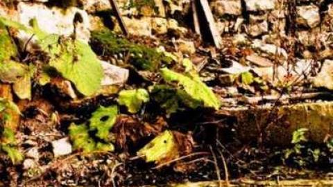 Inside the ruins - Kiddie-Kar-Factory19.jpg