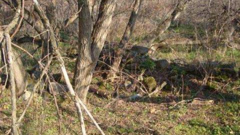 block house - Block-House19.jpg