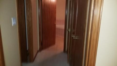 Not for long.  - 20200326_135423.jpg