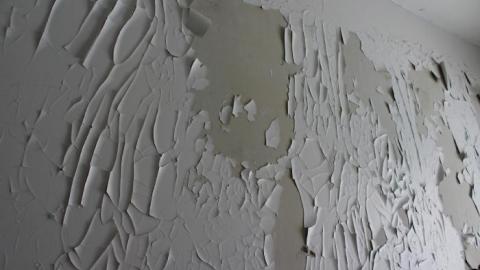 Trashed/FEB 2020 - IMG_3811.jpg