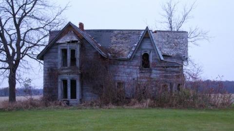 SURPRISE! More Of The Same. - IMG_3680.jpg