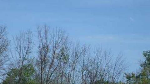 Alma College - Alma-College--St.-Thomas38.jpg