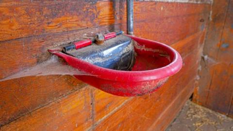 Seneca Farmhouse  - 8A3192D53D354DBBB80C8A80AA.jpg