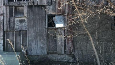 Barn visit  - 337C54FE-7493-4883-91E4-561A71.jpg