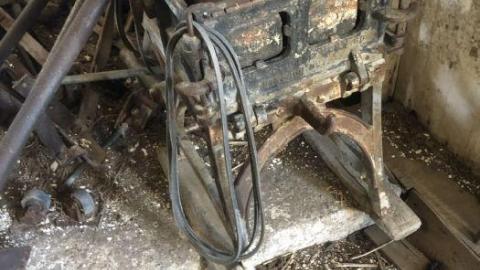 Barn visit  - 7B43C060-4A25-483C-920A-78280D.jpg