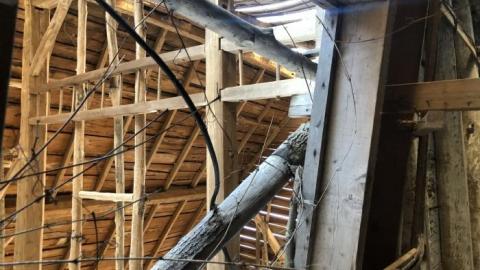 Photo from Barn visit 