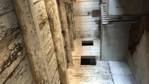 Barn visit  - B9111A52-FF4B-4537-8917-EEFEC7.jpg