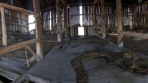 Photo from Barn visit 