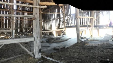 Barn visit  - Wholey-Barn14.jpg