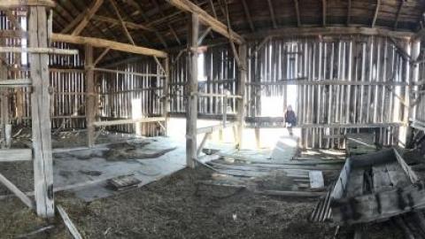 Barn visit  - Wholey-Barn15.jpg