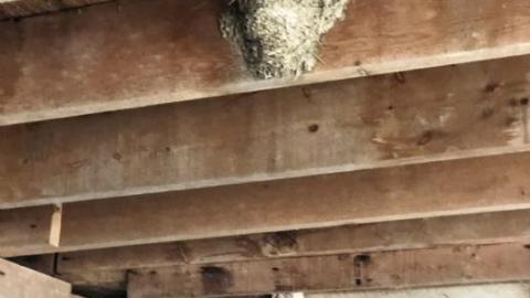 Barn visit  - Wholey-Barn16.jpg