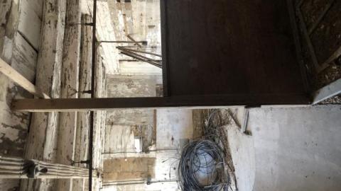 Barn visit  - BA9D0461-59AB-4819-A114-A19E0E.jpg