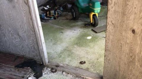 Barn visit  - A11D9386-6169-46BB-90A6-36206B.jpg