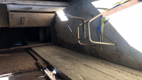 Barn visit  - 9B775E3B-05F0-487D-9CF5-191B90.jpg