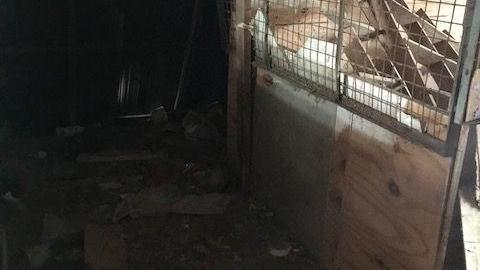 april 2020 day visit(lockedup) - Carrique-Property26.jpg