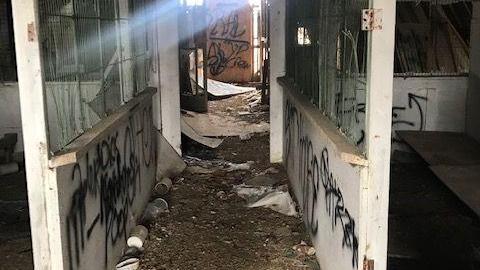 april 2020 day visit(lockedup) - Carrique-Property42.jpg