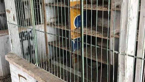 april 2020 day visit(lockedup) - Carrique-Property43.jpg