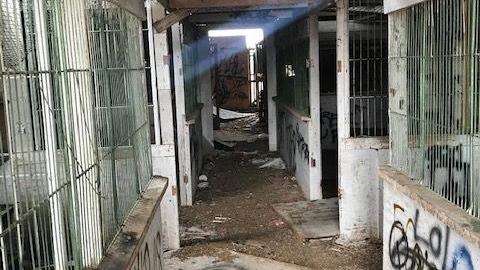 april 2020 day visit(lockedup) - Carrique-Property47.jpg