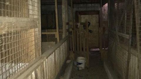 april 2020 day visit(lockedup) - Carrique-Property36.jpg