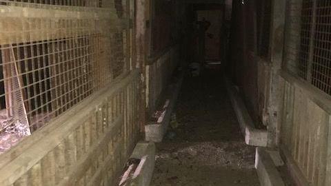 april 2020 day visit(lockedup) - Carrique-Property37.jpg