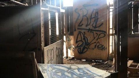 april 2020 day visit(lockedup) - Carrique-Property44.jpg