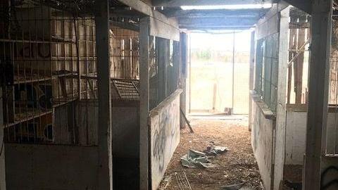 april 2020 day visit(lockedup) - Carrique-Property31.jpg