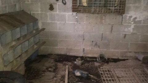 april 2020 day visit(lockedup) - Carrique-Property33.jpg