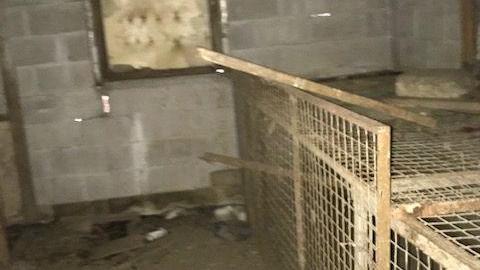 april 2020 day visit(lockedup) - Carrique-Property34.jpg