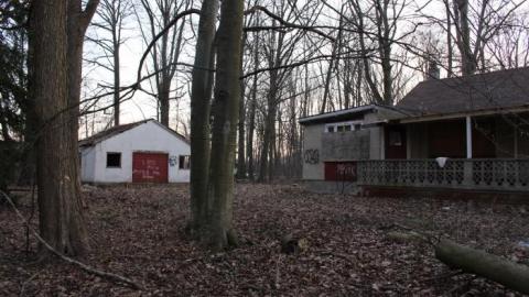 House (April 2020) - IMG_9083.jpg