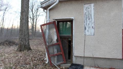 House (April 2020) - IMG_9054.jpg