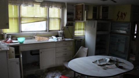 House (April 2020) - IMG_9055.jpg