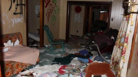 House (April 2020) - IMG_9057.jpg