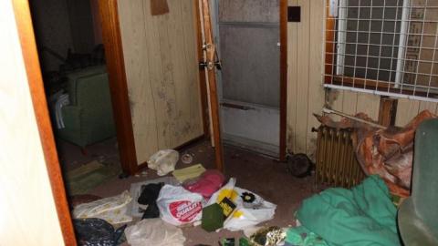 House (April 2020) - IMG_9064.jpg