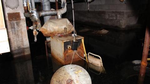 House (April 2020) - IMG_9079.jpg