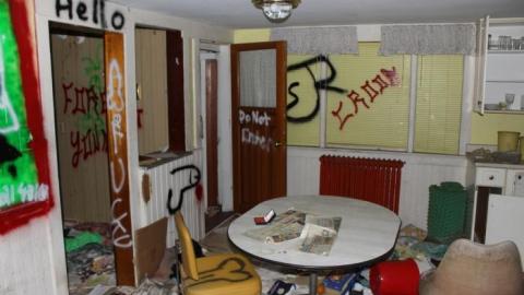 House (April 2020) - IMG_9080.jpg