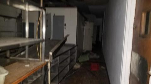 The rest. Before it's gone. - 20200406_172146.jpg